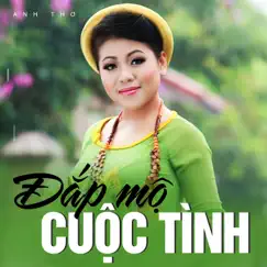 Đắp Mộ Cuộc Tình (Instrumental) by Anh Thơ album reviews, ratings, credits