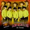 Homenaje A Los Alegres De Terán album lyrics, reviews, download