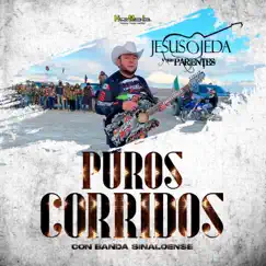 Puros Corridos Con Banda Sinaloense by Jesús Ojeda y Sus Parientes album reviews, ratings, credits