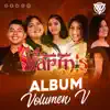 ALBUM Vol. V album lyrics, reviews, download