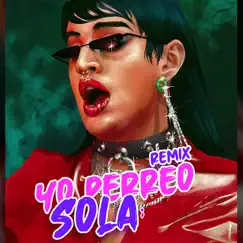 Yo Perreo Sola (Remix) Song Lyrics