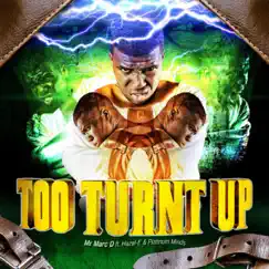 Too Turnt Up (feat. Hazel-E & Platinum Minds) Song Lyrics