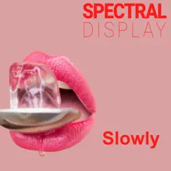 Slowly - Single by Spectral Display album reviews, ratings, credits