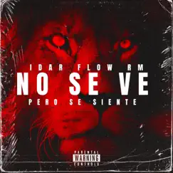 No Se Ve Pero Se Siente - Single by Idar Flow RM album reviews, ratings, credits