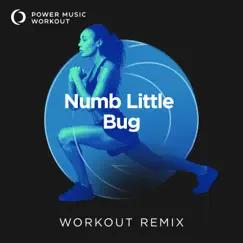 Numb Little Bug - Single by Power Music Workout album reviews, ratings, credits
