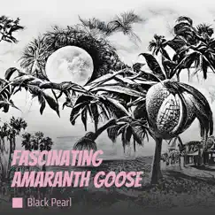 Fascinating Amaranth Goose - Single by Black Pearl album reviews, ratings, credits