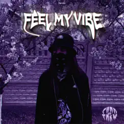 Feel My Vibe - Single by Phonk.me & Meedas album reviews, ratings, credits