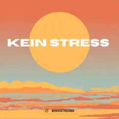 Kein Stress (feat. millesounds) Song Lyrics