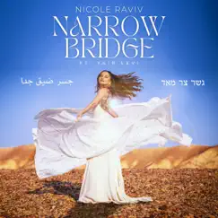 Narrow Bridge (feat. Yair Levi) Song Lyrics