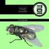 A Fly In My Soup - EP album lyrics, reviews, download