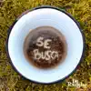 Se Busca - Single album lyrics, reviews, download