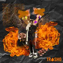 Trosho (feat. Santo) by SHAIM album reviews, ratings, credits