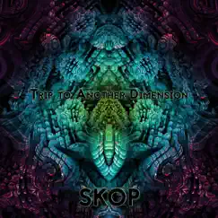 Trip To Another Dimension - Single by Skop album reviews, ratings, credits