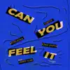 Can You Feel It (feat. James Hurr) [VIP Mix] - Single album lyrics, reviews, download