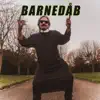Barnedåb - Single album lyrics, reviews, download