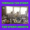 Through the Storm - EP album lyrics, reviews, download