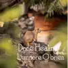 Done Healing album lyrics, reviews, download
