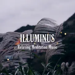 Illuminus Song Lyrics