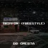 Trippin (Freestyle) - Single album lyrics, reviews, download