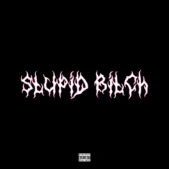 Stupid Bitch - Single by Xperiment album reviews, ratings, credits