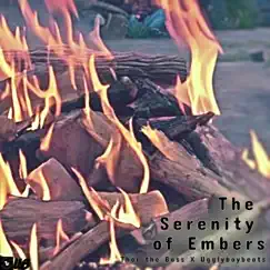 The Serenity of Embers (feat. UgglyBoyBeats) by Steve Golub album reviews, ratings, credits