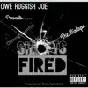 Shots Fired Mixtape Sampler - Single album lyrics, reviews, download