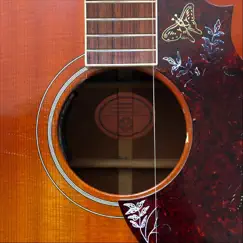 Tune for a One-String Guitar Song Lyrics