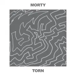 Torn - Single by Morty album reviews, ratings, credits
