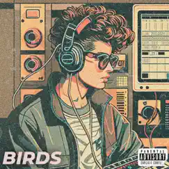 Birds - Single by Tony Fernandez album reviews, ratings, credits