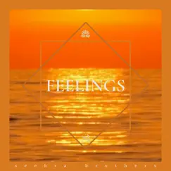 Feelings - Single by Seehra Brothers album reviews, ratings, credits