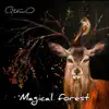 Magical Forest - Single album lyrics, reviews, download
