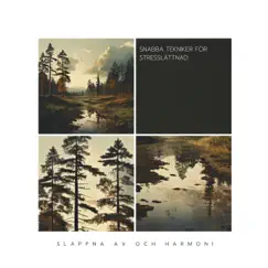 Snabba Tekniker för Stresslättnad by Slappna av och Harmoni, Sleepy Clouds & Sleepy Sine album reviews, ratings, credits