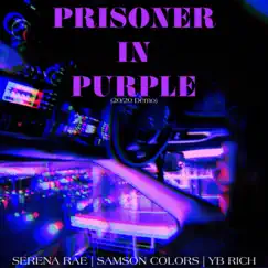 PRISONER IN PURPLE (feat. Samson Colors & YB RICH) [20/20 DEMO] - Single by Serena Rae album reviews, ratings, credits