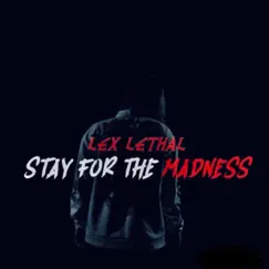 Stay For the Madness Song Lyrics