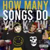 How Many Songs Do You Know - Single album lyrics, reviews, download