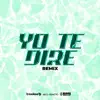 Yo Te Diré - Single album lyrics, reviews, download