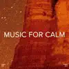 !!!" Music for Calm "!!! album lyrics, reviews, download