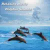 Relaxing Music Dolphin Sounds album lyrics, reviews, download