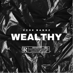 Wealthy - Single by Vzoebandz album reviews, ratings, credits