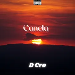 Canela Song Lyrics