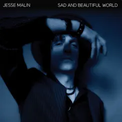 Sad and Beautiful World by Jesse Malin album reviews, ratings, credits