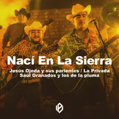 Nací En La Sierra - Single by La Privada, Jesús Ojeda y Sus Parientes & Saul Granados y los de la Pluma album reviews, ratings, credits