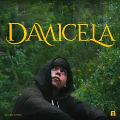 Damicela Song Lyrics