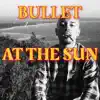 At the Sun - Single album lyrics, reviews, download