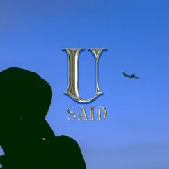 U Said (feat. infamousizak & invader spade) - Single by Aubrey Trnql album reviews, ratings, credits