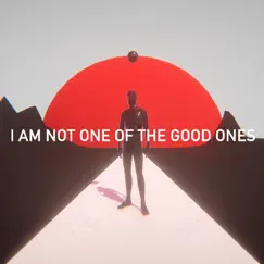 I Am Not One of the Good Ones Song Lyrics