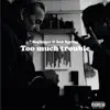 Too Much Trouble - Single album lyrics, reviews, download