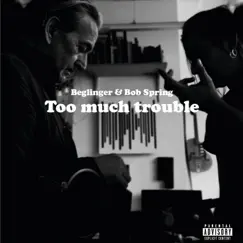 Too Much Trouble - Single by Beglinger & Bob Spring album reviews, ratings, credits
