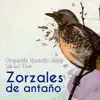 Zorzales de Antaño - Orquesta Rodolfo Biagi - Ya Lo Ves album lyrics, reviews, download