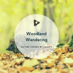 Woodland Wandering by Nature Sounds by Lullify & Ambient Nature Sounds album reviews, ratings, credits